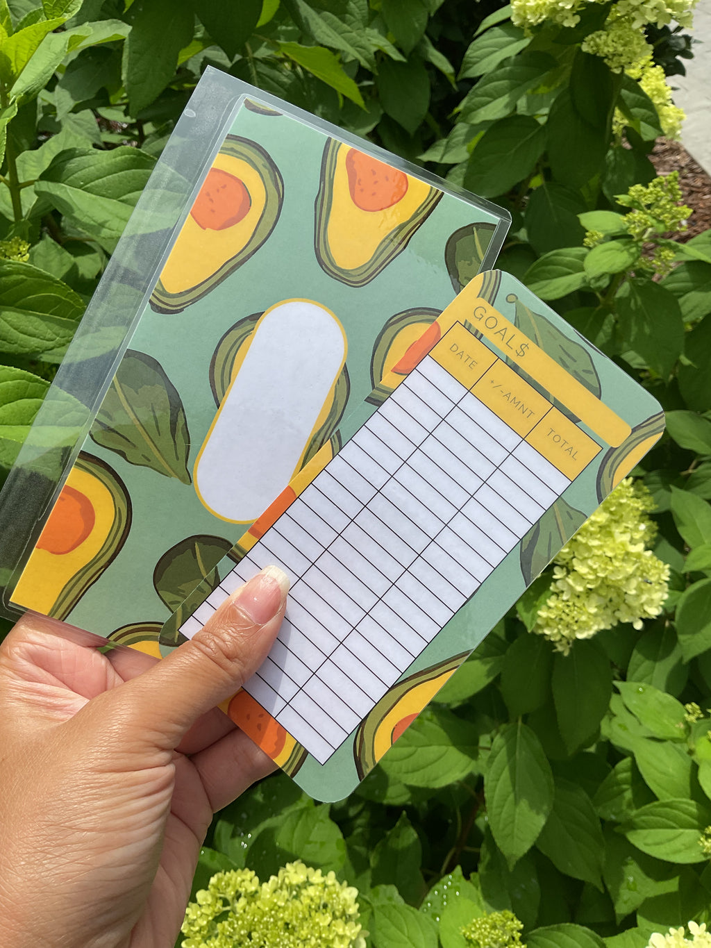 Fresh Fruit envelope bundle 6