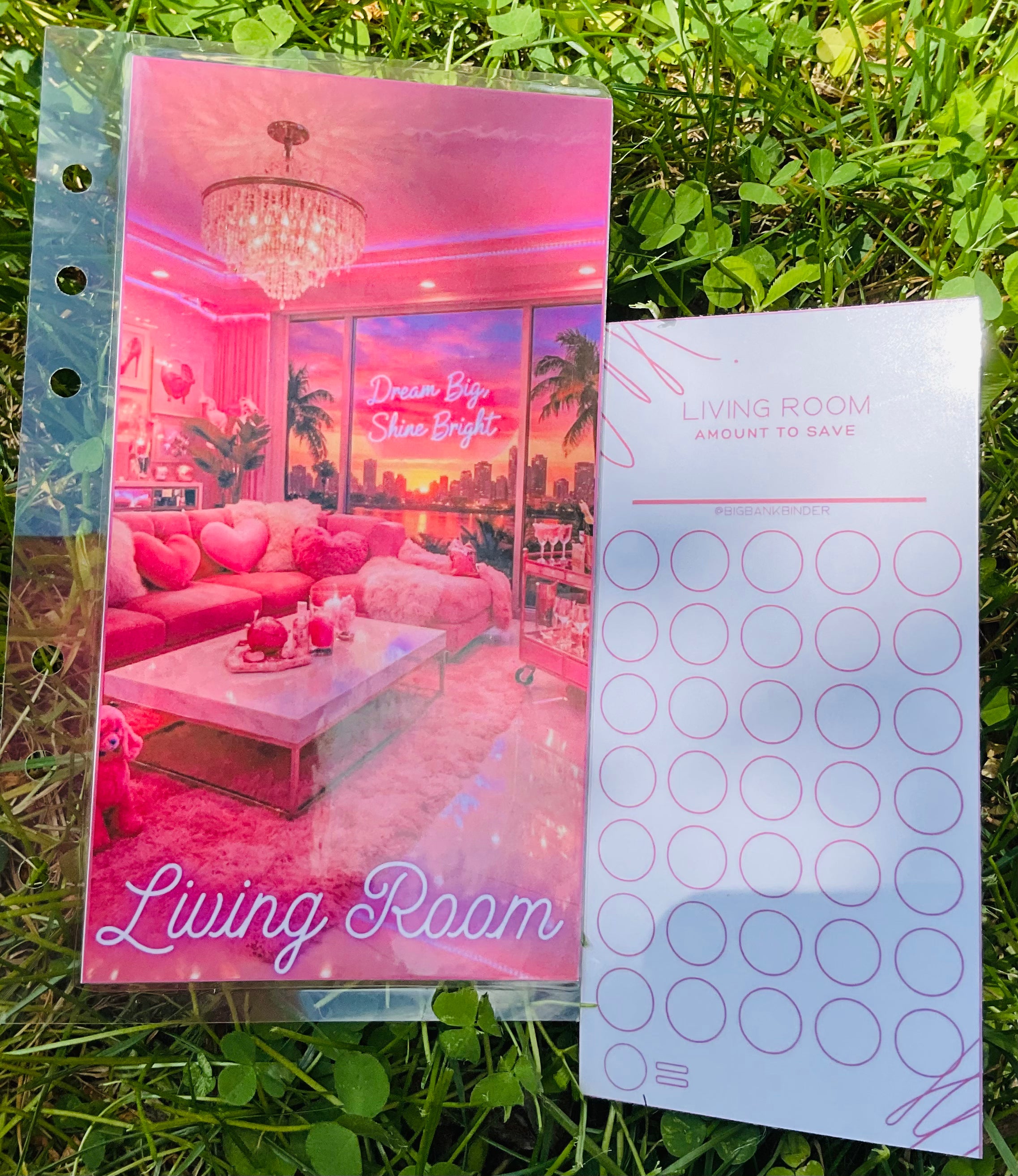 New Place Savings